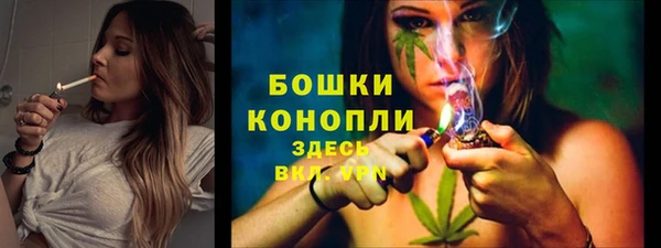 ECSTASY Горняк