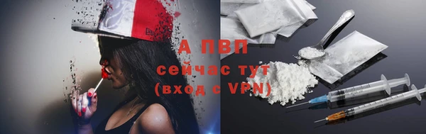 ECSTASY Горняк