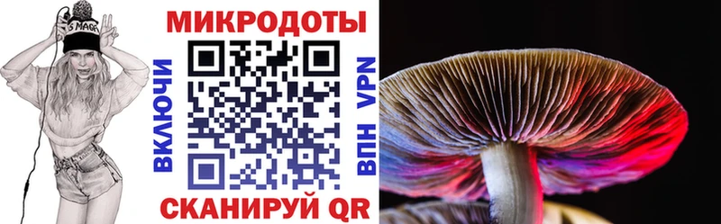 Галлюциногенные грибы MAGIC MUSHROOMS  Купить где  Касимов 